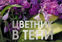 Photo of Растения для вашего сада