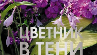 Photo of Растения для вашего сада