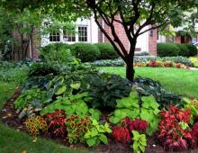 Design of flower beds: types and interesting ideas for a summer residence