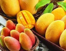 Kalori mango dhe kalori mango Kalori në mango të freskët