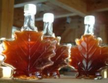 Health benefits and harms of maple syrup, use in cooking