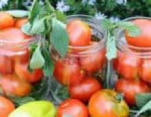 Spraying tomatoes with iodine serum Spraying tomatoes with iodine against late blight