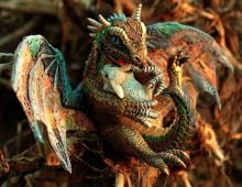 Rabbit and dragon: compatibility between men and women and what it affects