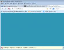 NoScript: Mozilla Firefox 브라우저의 추가 보안