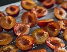 How to dry plums for the winter: all methods - preparing prunes at home
