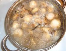 Përgatitja e kërpudhave për dimër - receta për kërpudha turshi, të konservuara dhe të kripura A mund të mbulohen kërpudhat e kripura?