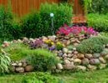 Flowerbeds are the most beautiful How to design a small flowerbed near the house